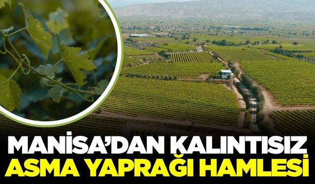 Manisa'da kalıntısız üretim vurgusu