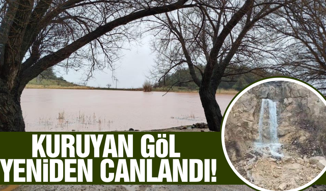 Manisa'da yağmurlar can suyu oldu!