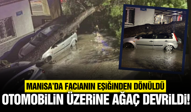 Manisa'da yıldırım düşen ağaç, otomobilin üzerine devrildi