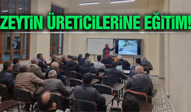 Salihli’de zeytin yetiştiriciliği kursuna yoğun ilgi!