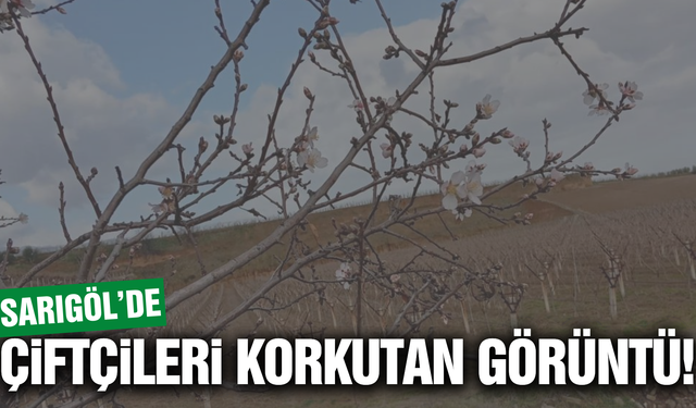 Sarıgöl'de tedirgin eden görüntü!
