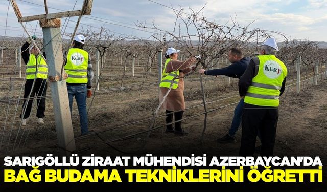 Sarıgöllü mühendisten Azerbaycan'da budama eğitimi
