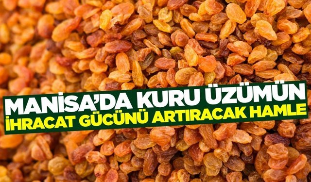 TARİŞ duyurdu: Manisa'da kuru üzümün piyasadaki gücünü artıracak eğitim