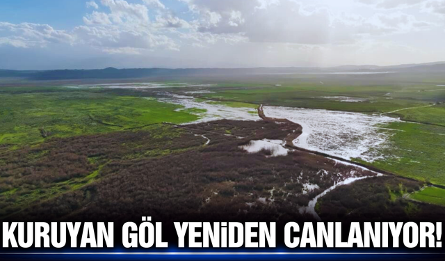 Yağışlar Marmara Gölü’ne can suyu oldu!