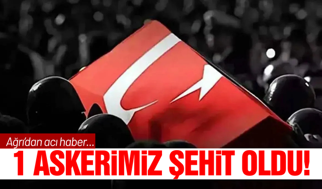 Ağrı'da askeri araç kaza yaptı: 1 uzman çavuş şehit oldu