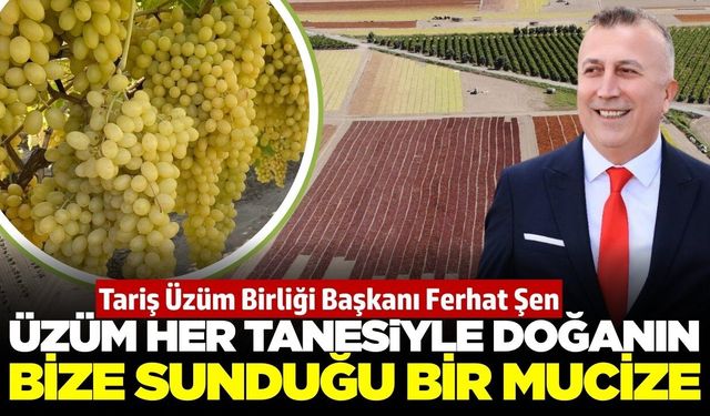 Ferhat Şen: 'Üzüm sadece bir ürün değil, doğal bir eczane'