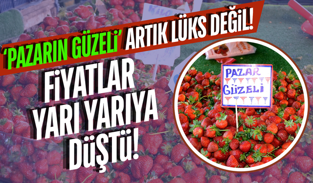 Manisa’da Çilek Mesaisi Başladı: Fiyatlar Yarı Yarıya Düştü!