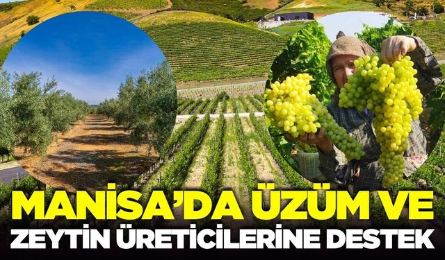 Manisa'da üreticileri sevindiren haber: Yüzde 100 hibeyle dağıtılacak!