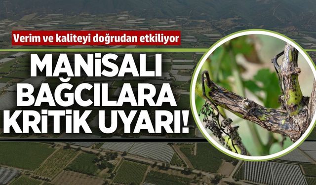 Uzmanından bağcılara kritik uyarı!