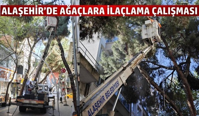 Alaşehir'de ilaçlama çalışmaları sürüyor!