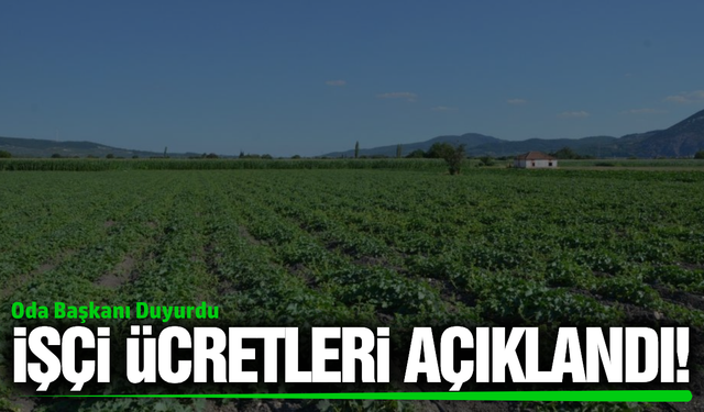 Manisa'da işçi ücretleri belli oldu!