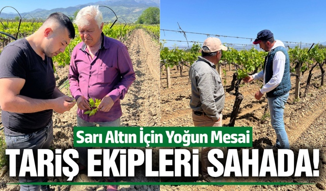 TARİŞ'ten Alaşehirli üreticiye teknik destek!