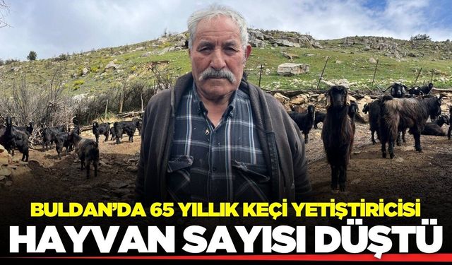 Buldan'da kurban hareketliliği başladı: Üretici dertli