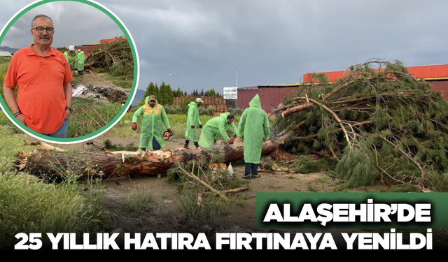 Alaşehir'de 25 Yıllık Manevi Kayıp: O Ağacın Hikayesi Duygulandırdı