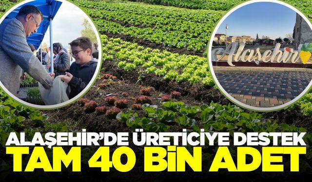 Alaşehir'de üreticilere destek tüm hızıyla devam ediyor
