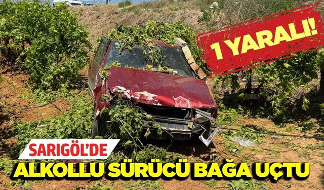 Sarıgöl’de kontrolden çıkan otomobil üzüm bağına uçtu
