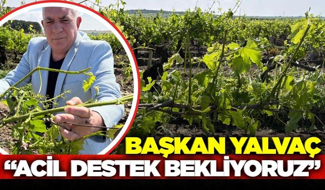 Başkan Yalvaç yetkililere seslendi!