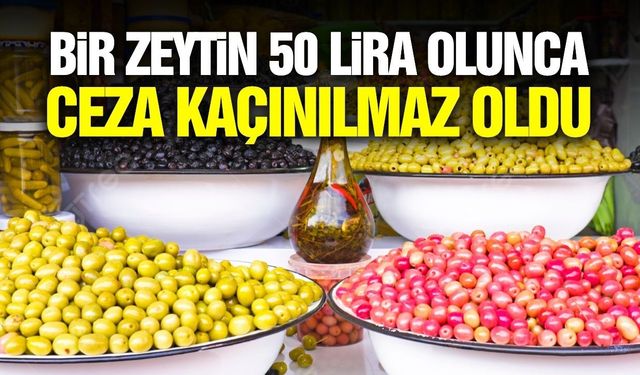 Zeytinin tanesi 50 lira olunca bakanlık sessiz kalmadı!