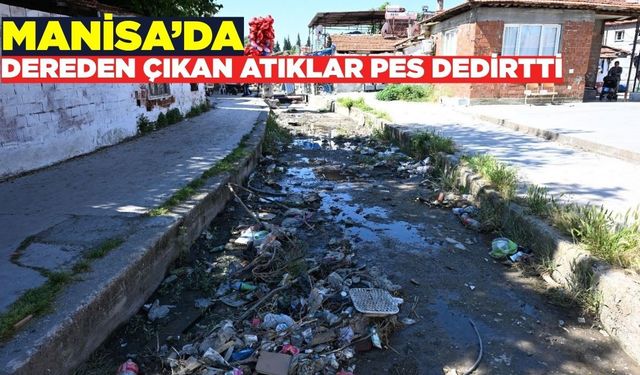 Manisa'da dereden çıkan atıklar hayrete düşürdü!