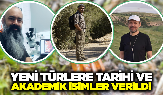 Ege’nin Saklı Dünyasından Bilim Dünyasına: 8 Yeni Örümcek Türü Keşfedildi
