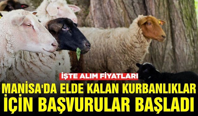 Manisa Tarım İl Müdürlüğü duyurdu: ESK satın alacak