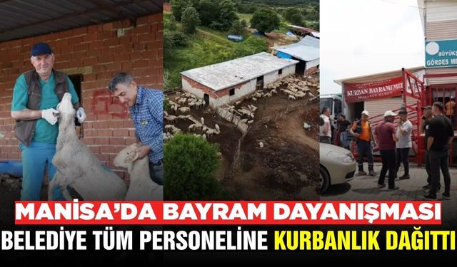 Manisa'da örnek dayanışma: Çalışanlara kurbanlık hediye edildi!