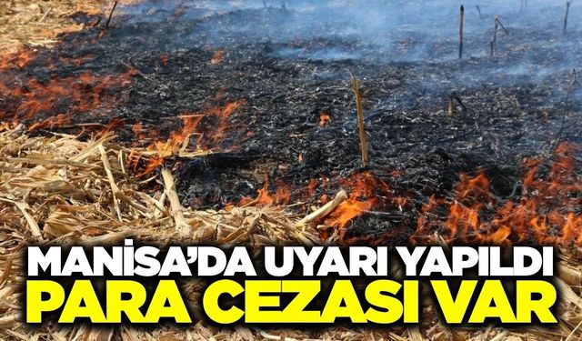 Manisa'da anız yakmayın uyarısı: Cezası 5 kata kadar çıkıyor