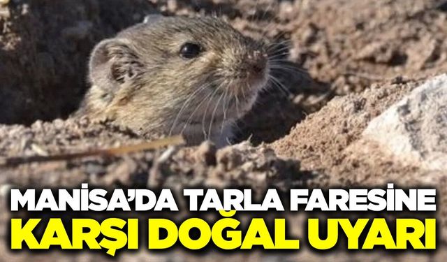 Manisa'da çiftçilere uyarı: Doğal denge korunmalı