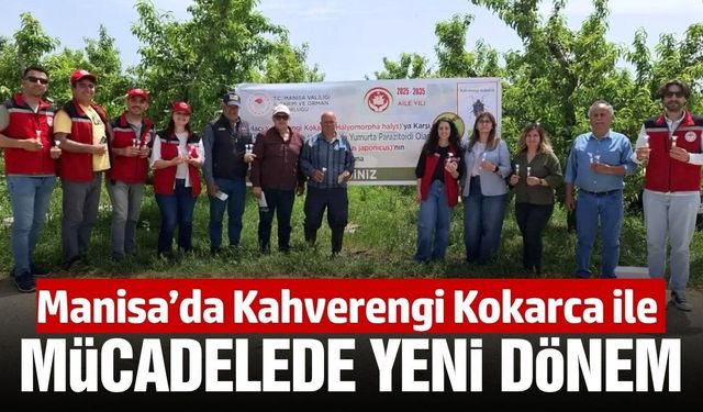 Manisa’da Kahverengi Kokarcaya Karşı Biyolojik Hamle