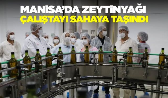 Manisa'da "Asırlık Ağaçtan Sofraya Zeytinyağı Çalıştayı”