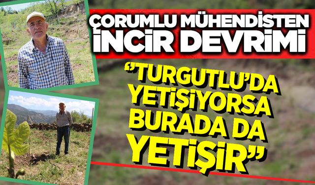 Manisa’nın İnciri Çorum’da Umut Oldu