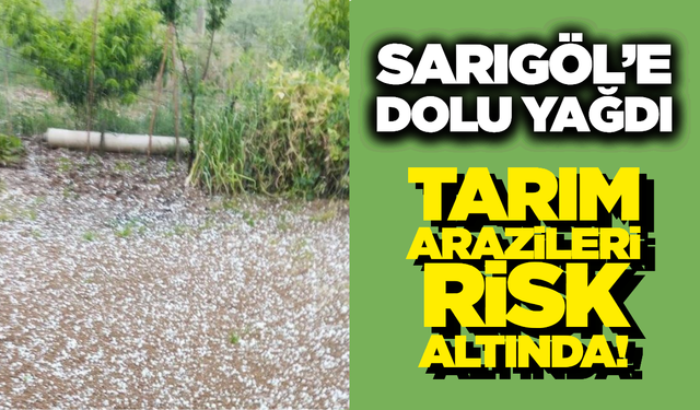Sarıgöl’de Aniden Bastıran Dolu Üreticiyi Korkuttu