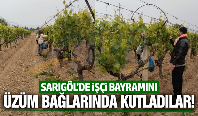 Sarıgöl'de tarım işçileri 1 Mayıs’ı çalışarak kutladı