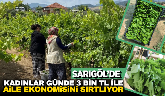Bağdan Gelen Servet: Kadın İşçilerin Günlük Kazancı Dudak Uçuklatıyor