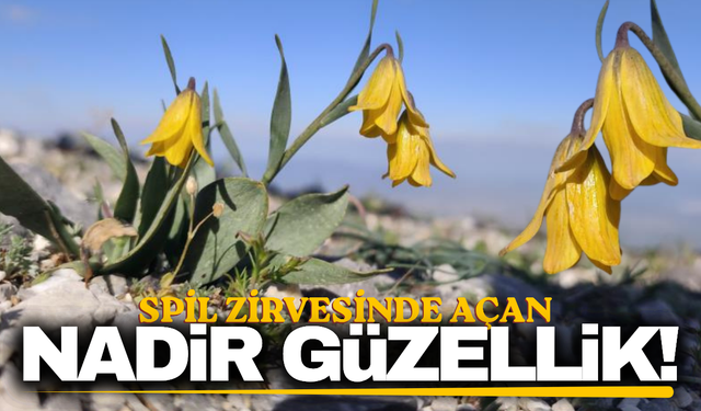 Spil Dağı zirvesinde görsel şölen!