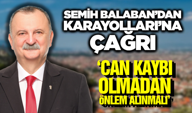 Süreyya Tabiat Parkı Önünde Trafik Güvenliği Alarm Veriyor: "Acilen Işık Sistemi Gerekiyor"