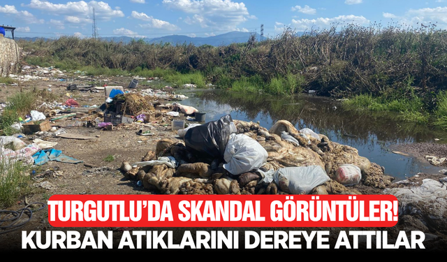 Turgutlu’da Kurban Atıkları Dereye Atıldı: Vatandaşlardan Tepki