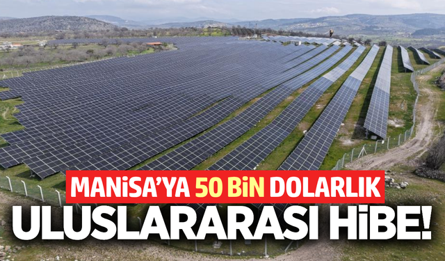 Manisa’nın iklim vizyonuna 50 bin dolarlık destek