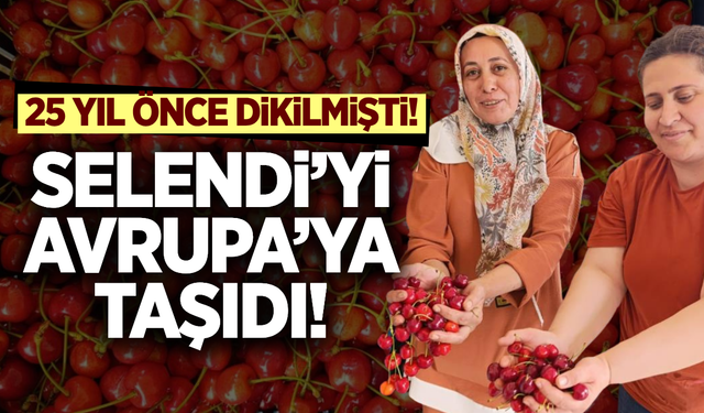 Selendi'nin kırmızı altını şimdi Avrupa yolcusu!