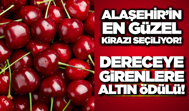 Alaşehir'de Festival Coşkusu: "En Güzel Kiraz" Yarışması Başlıyor!