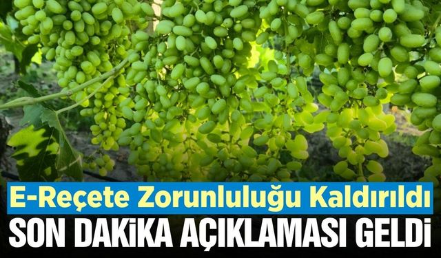 Bağcılar kara kara düşünüyordu: Manisa İl Tarımdan sevindiren açıklama geldi
