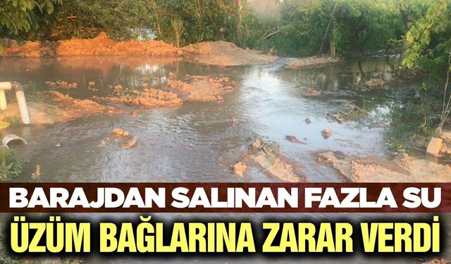 Bağları bu sefer susuzluk değil fazla su vurdu