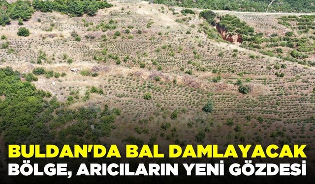 Arıcıların yeni gözdesi Buldan oldu!