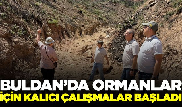 Denizli'de ormanlar için kalıcı çalışma