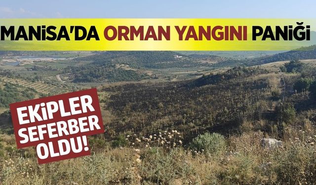 Manisa'da orman yangını: Havadan ve karadan yoğun müdahale