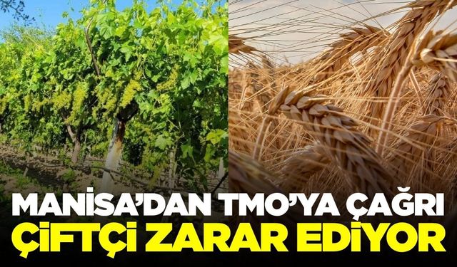 Manisa'dan TMO'ya Çağrı: 'Bu fiyatlarla Çiftçi Kazanamıyor'