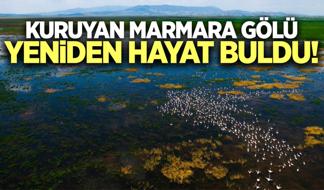 Marmara Gölü yeniden hayat buldu!