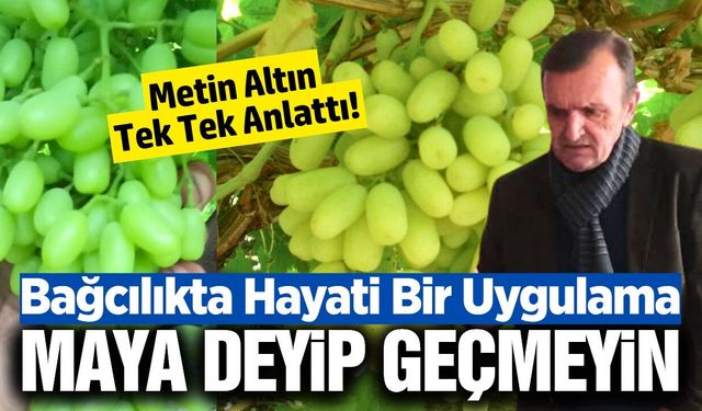 Metin Altın bağlarda 'Maya' kullanımının önemine dikkat çekti!