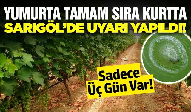 Sarıgöl'de bağcılara 'Kurt' uyarısı!