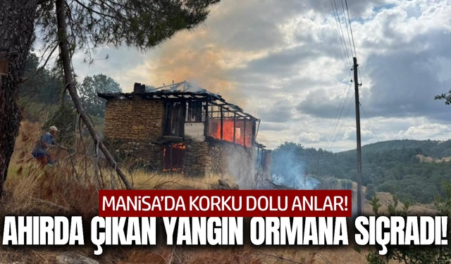 Manisa'da ahırda başlayan yangın ormana sıçradı